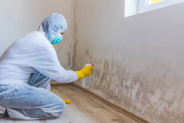 Commercial Mold Remediation assessment for commercial property in Plainview